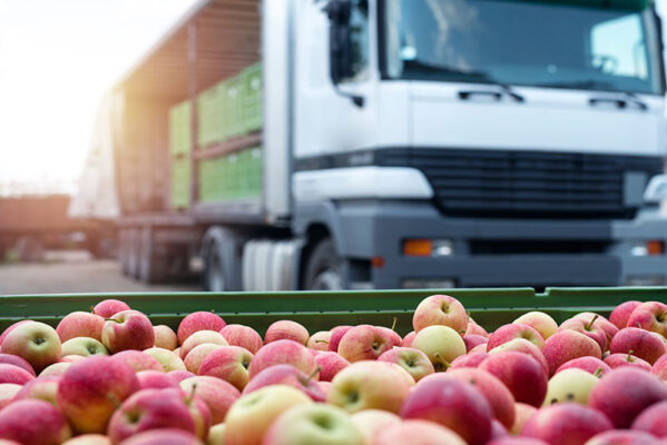 A close-up of a crate filled with apples in front of a truck being loaded with green crates at a produce distribution center, highlighting the efficiency of the cold chain.