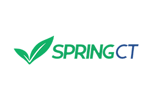 Spring Computing Technologies logo with a green checkmark shaped like leaves to the left of the text "SPRINGCT," where "SPRING" is green and "CT" is blue.