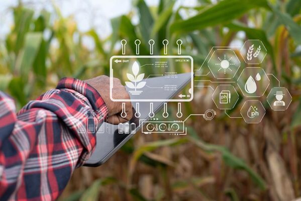 A person in a plaid shirt uses a tablet in a cornfield, with smart farming and agriculture graphics displaying digital data and plant analysis overlaid on the image.