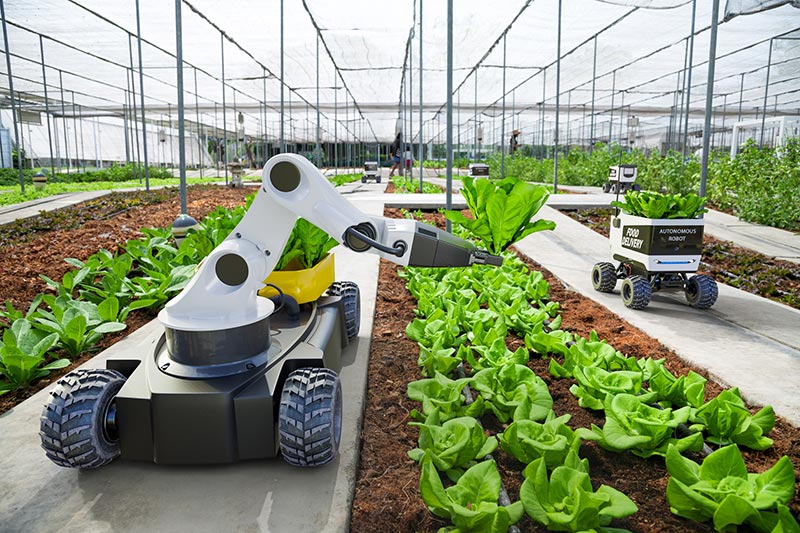 Smart Farming and Agriculture: 5G IoT Use Cases