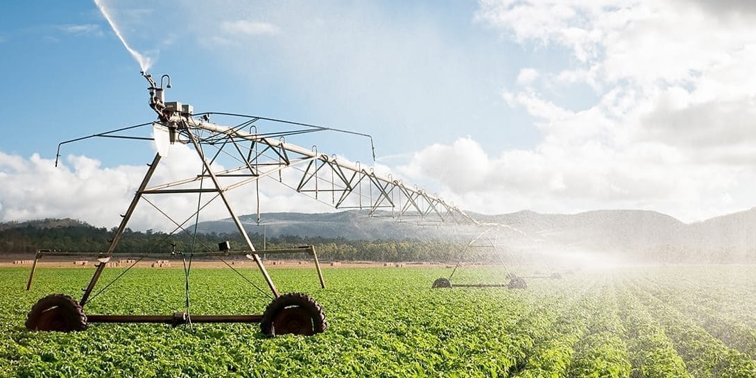 Agricultural field with a sprinkler equipped with IoT technology for smart farming.