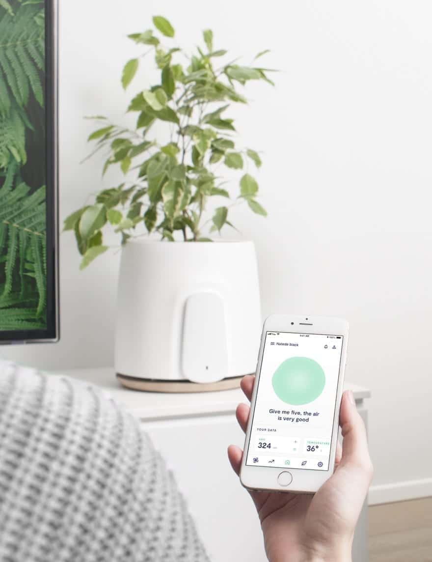 A woman is holding a smart phone in front of a plant.