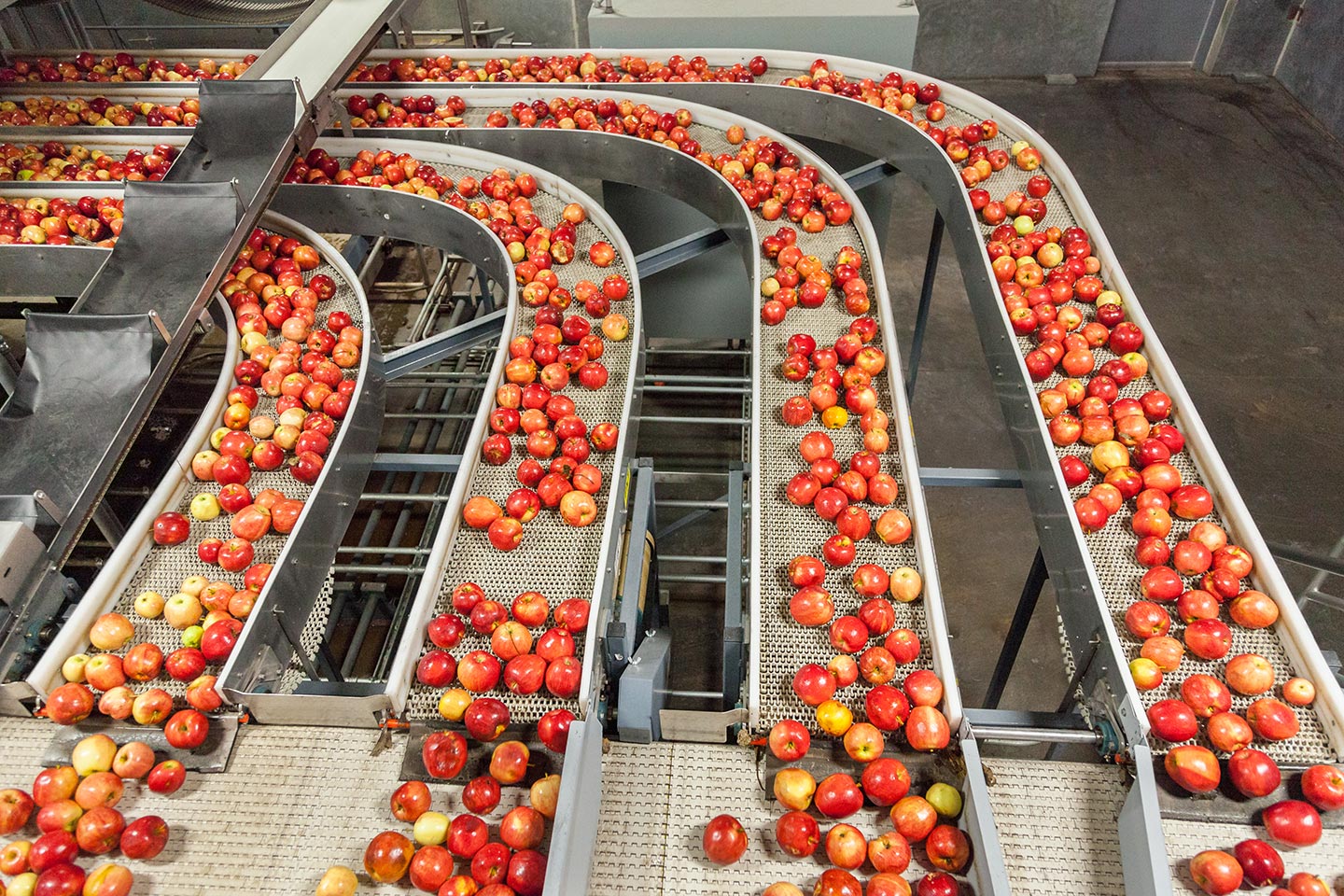 Apples on conveyor belts in an IoT-based food quality monitoring system.