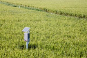 Solar-powered agricultural sensor in a field. This seasonal deployment is ideal for prepaid connectivity plans.