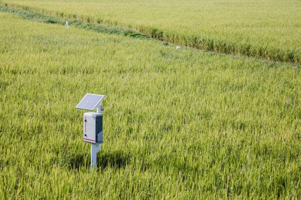 An IoT-enabled agriculture remote sensor using cellular connectivity sits in a grassy field.