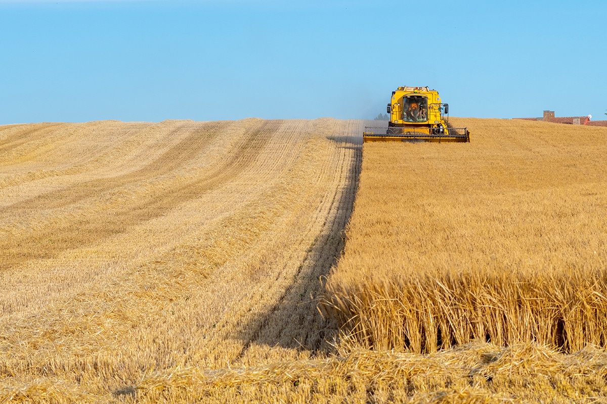 IoT agriculture solutions enable precision farming, which helps farmers optimize their operations.