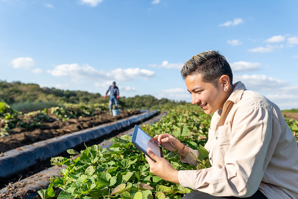 IoT-enabled agriculture solutions empowers farmers with real-time monitoring and predictive analytics.