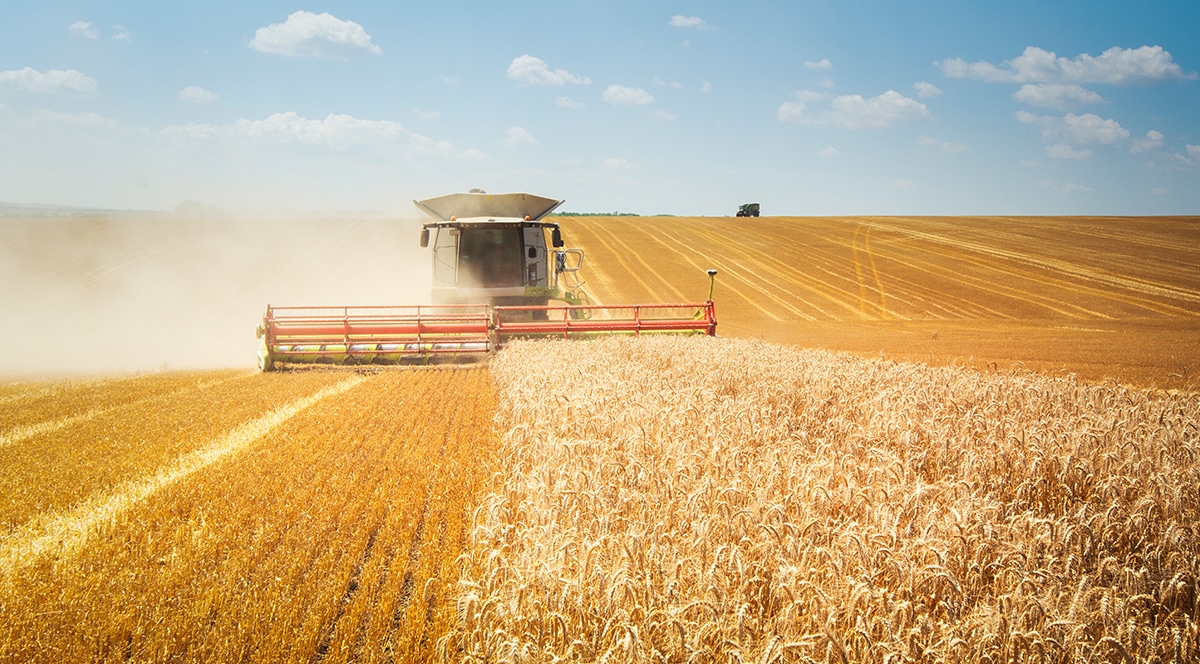 IoT smart farming can help farmers improve yields.