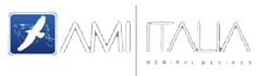 AMI-ITALIA-logo