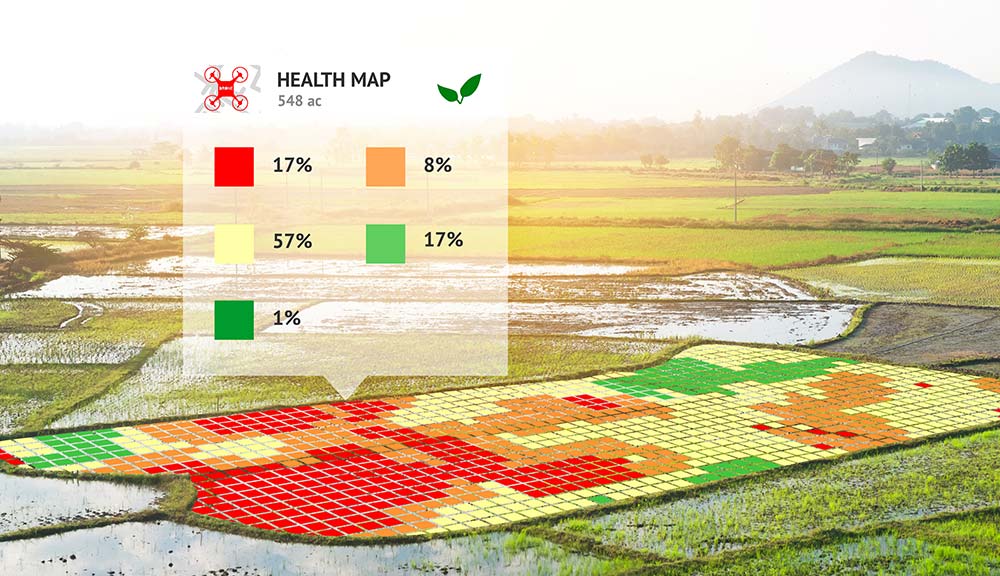 Farmland with a computer-generated overlay showing crop health.