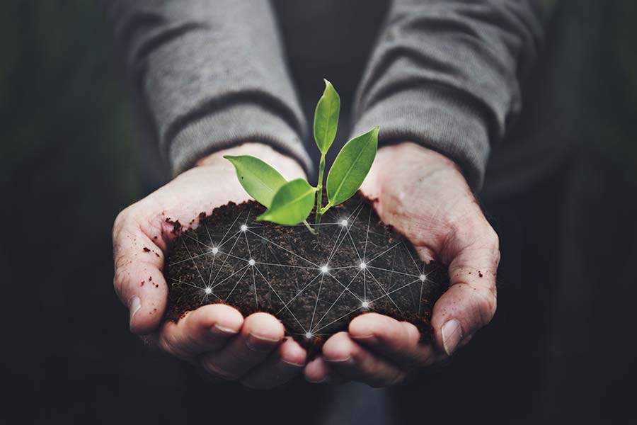 Hands holding a mound of dirt that's overlaid with geometric lines and connecting dots with a plant emerging from it. 