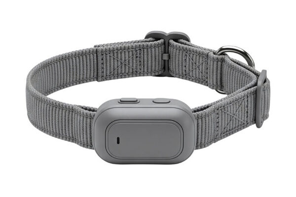 A gray electronic pet collar with an attached rectangular tracker with two buttons and an indicator light.
