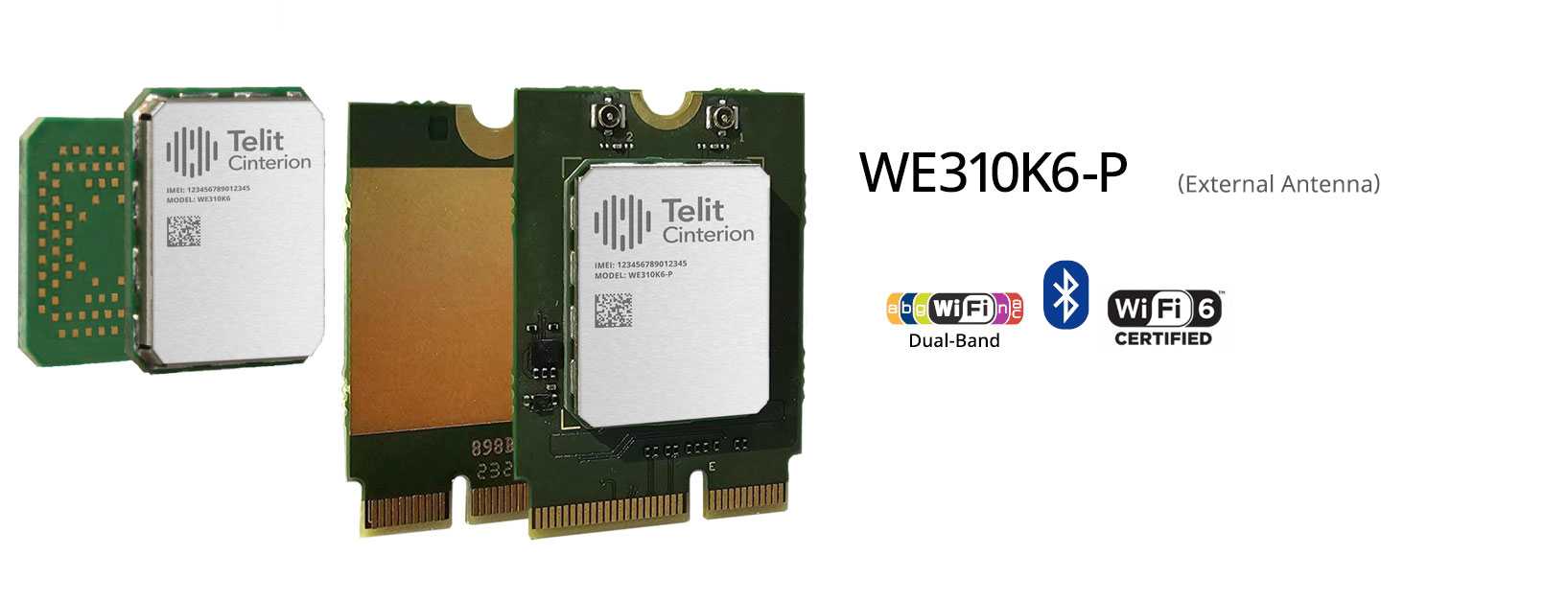 WE310K6-P module