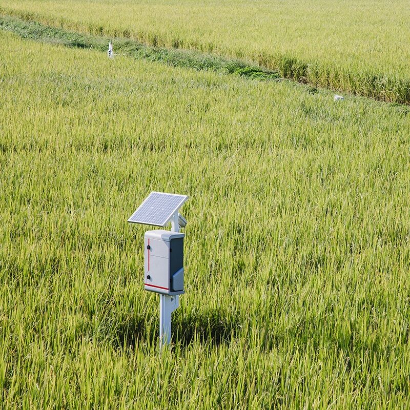 IoT enablement for agriculture includes remote sensors that generate data in real time for monitoring crops and livestock.