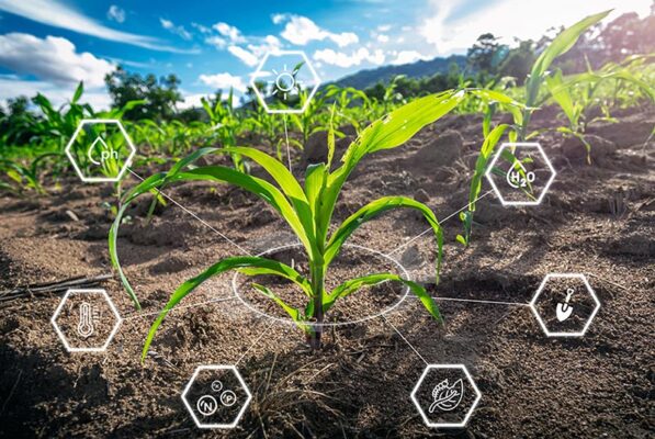 A young plant in a field surrounded by digital icons representing factors like pH and water to showcase precision agriculture.