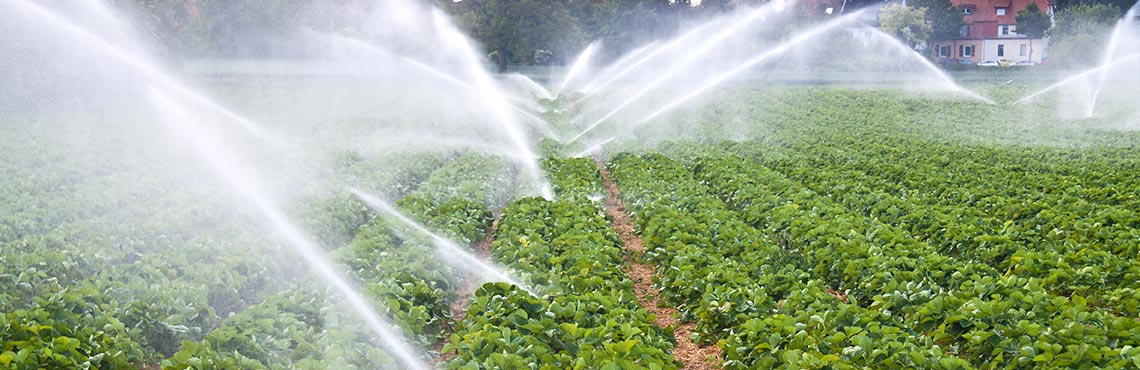 Smart irrigation systems powered by IoT technology efficiently water a vast agricultural field, nurturing rows of vibrant green crops.