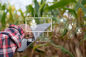 A person holds a tablet in a cornfield with digital graphics displaying data on plant growth, sunlight, water, and pH levels.