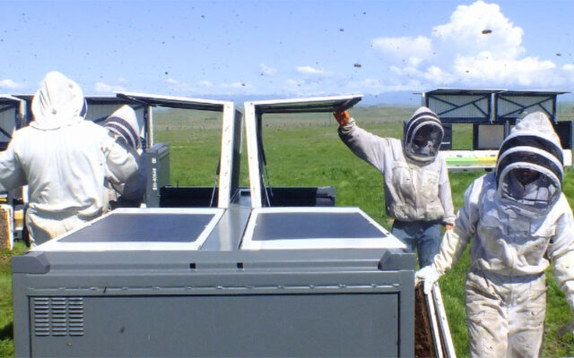 Three people in protective beekeeping suits tend to large bee hives in a grassy field beneath a partly cloudy sky.