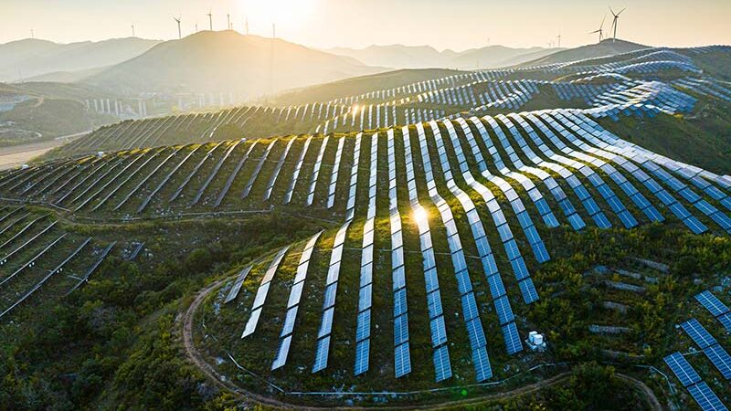 Rows of solar panels are installed on rolling hills, with wind turbines in the background and the sun low in the sky.