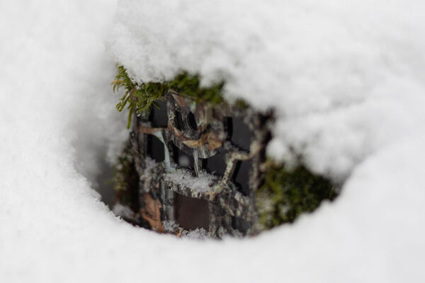 A smart trail camera with a camouflage pattern is partially covered by a layer of snow.