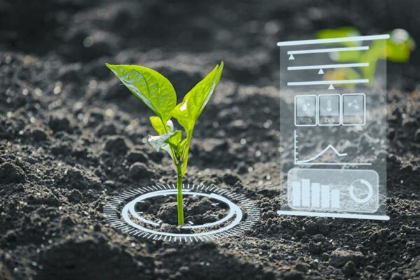 A small green plant in soil with digital charts overlaid to show data flow in smart agriculture.
