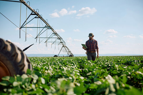 A person in a plaid shirt and hat walks through a green crop field, holding a tablet, with an irrigation system and tractor wheel visible.