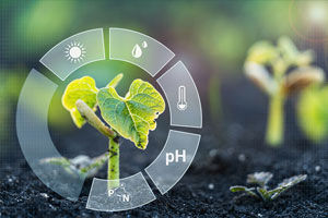 Young plant growing in soil with digital overlays showing icons for sunlight, water, temperature, pH, phosphorus, and nitrogen, representing growth conditions.